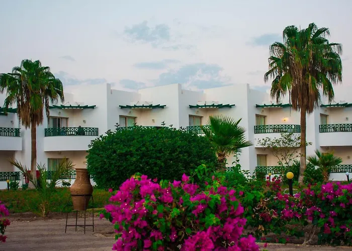 Resort Coral Montazah (adults Only)