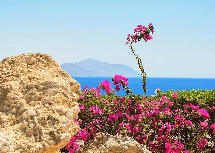 Resort Coral Montazah (adults Only) 4*