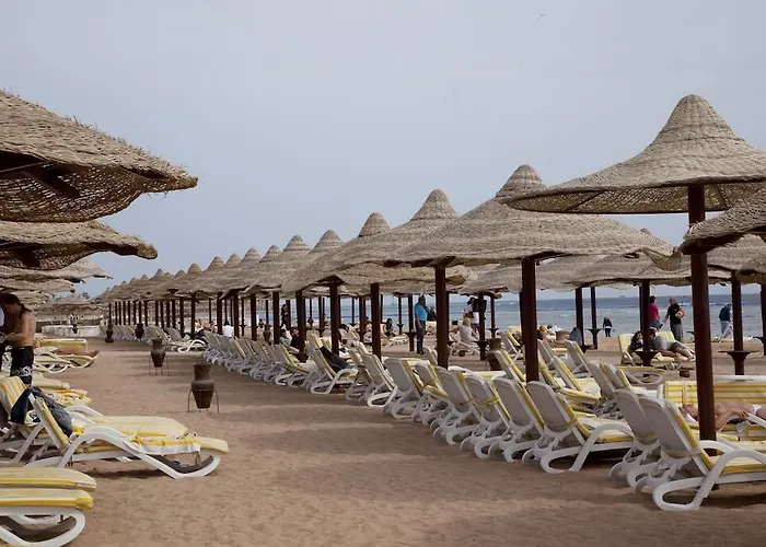 Coral Montazah (adults Only)
